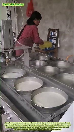 The Art of Rice Noodle Production: Automated Simplicity