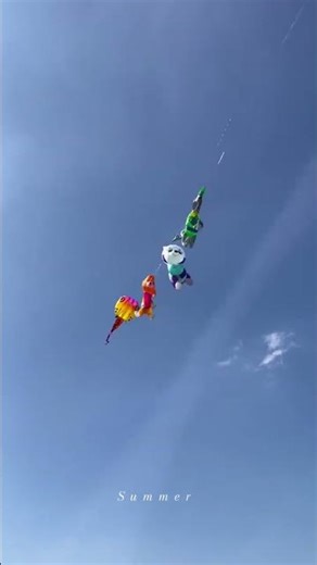 Software kite# #Kite# #Flying kite# #Flying kite together# #Giant kite#