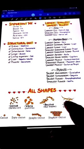 KV on Instagram: "Full BIOLOGY Notes (11+12) 👆Link in bio👆"