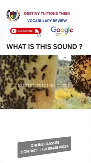 5 Everyday Sounds You Didn’t Know Had Names #Shorts