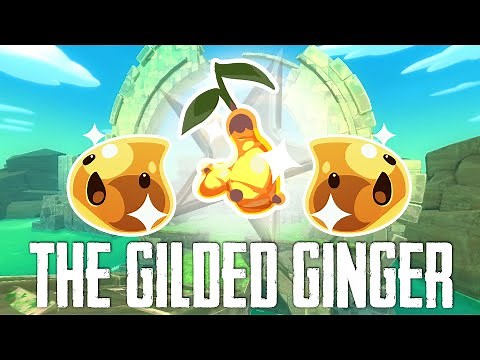 Everything about the Gilded ginger in slime rancher!
