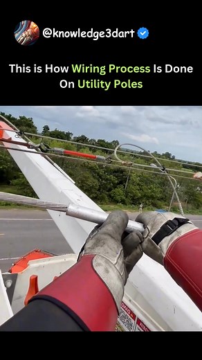 8.2K views · 11 reactions | This is How Wiring Process Is Done On Utility Poles | Oddly Viral | Facebook