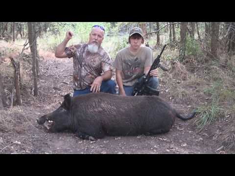 2 Hard Charging Hogs And A Monster Boar Killed By Women