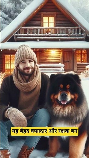 This Giant Dog Once Protected Russia from Bears! #AnimalShorts