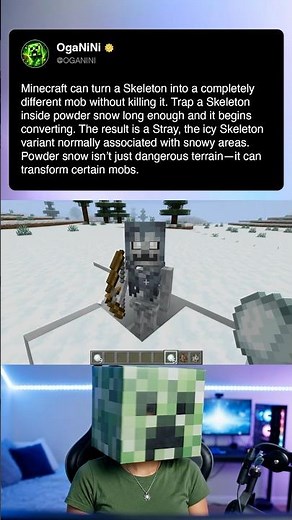 Minecraft Powder Snow Can Transform Skeletons Into Strays