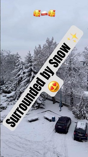 Lost in Winter Magic — Snow All Around ❄️🌨️ #SnowVibes #WinterMagic #snowaesthetic