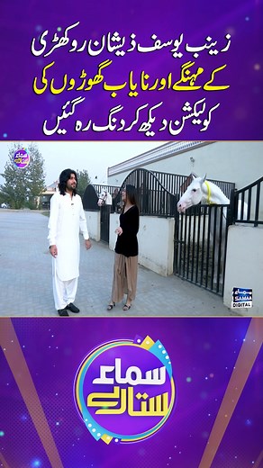 1.4M views · 42K reactions | Zeeshan Rokhri’s Expensive and Rare Horse Collection Amazes Zainab Yousaf | Samaa Sitaray #samaatv #SamaaSitaray #ZainabYousaf #ZeeshanKhanRokhri #HorseCollection #viralmoment #celebrity #musicindustry #samaadigital | Samaa Sitaray | Facebook