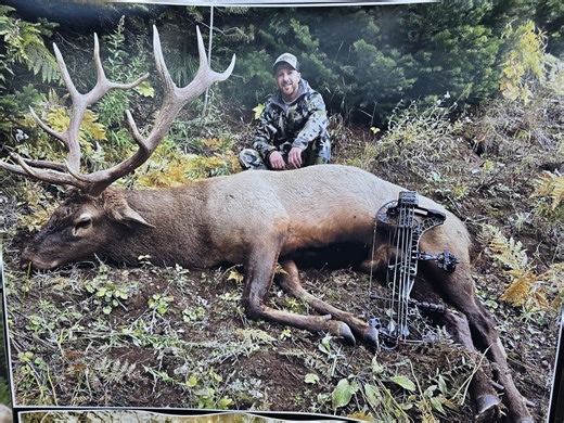 Idaho Elk and Mule Deer with Guaranteed License | Bowhunting.Net