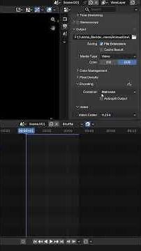 Come trasformare un’animazione in un video in Blender