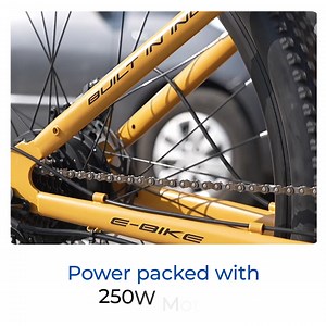 255 reactions · 5 comments | Discover the Unmatched EMotorad...