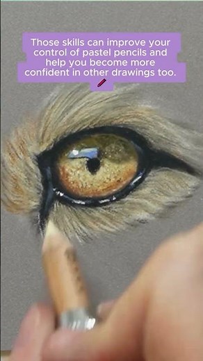 If you’ve been drawing with pastel pencils but still avoid animal eyes, then watch this. 👀