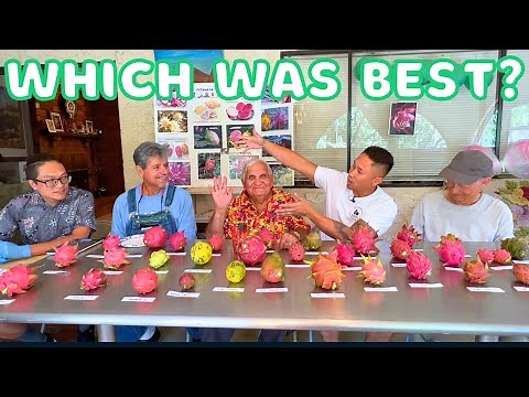 Part 2: Tasted Over 30 Dragon Fruits Varieties! Which One Was The Best?