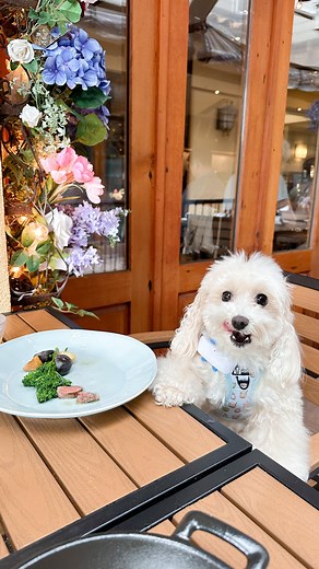 155K views · 4.8K reactions | Part 2 of Tato’s 5th Birthday...