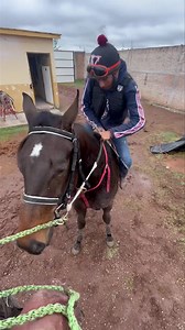 Dándole gracias y toda la confianza por ver echo un excelente trabajo en su primer trabajo El sr Leobardo & El centauro 🫡🙏🏼🐎 | Cuadra Arados