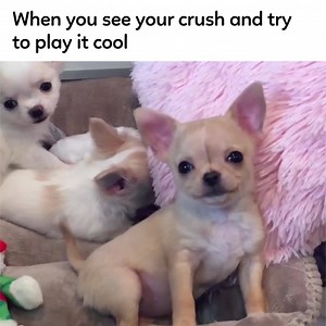 9.6K views · 177 reactions | This is me  | Thirsty | Facebook