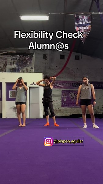 Desafío de Flexibilidad: Verifica tu Progreso