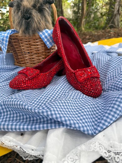 The Wizard of Oz: Ruby Slippers, Crystal Dorothy Shoes. - Etsy