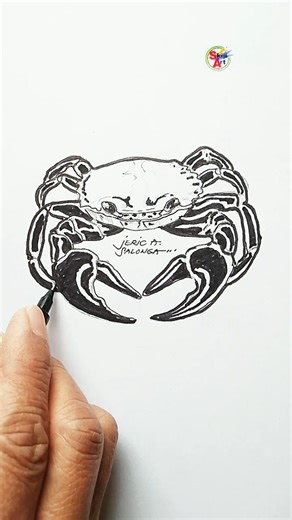 Crab /Pen & Ink (Shorts)