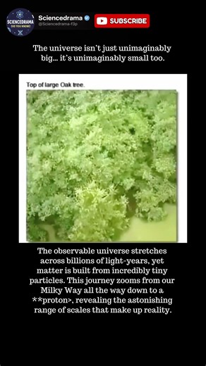 This Zoom Changes How You See the universe!