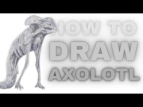 How to draw Axolotl (RANDOMstuff