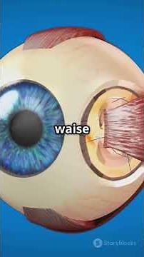 Human eye 3d video #education #science #humaneye