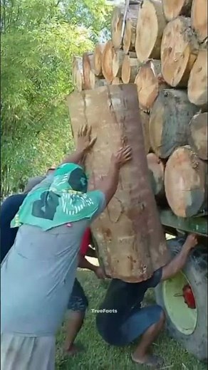 Magic Wood Shaping Machine!”