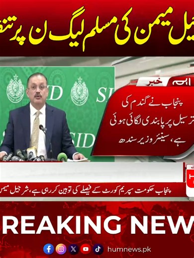 شرجیل میمن کی مسلم لیگ ن پر تنقید ! #BreakingNews #HumNews
