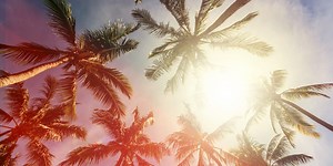 10 of the best summer quotes