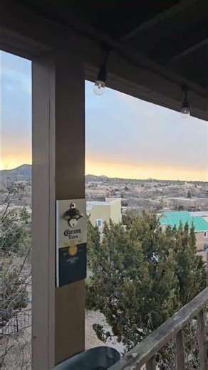 Why Is This Tree Blooming Already? Are The Bees Awake Yet? 🐝🌸