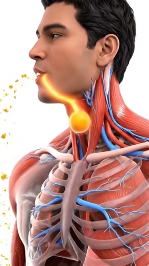 Inside Digestion: Hyper-Realistic 3D Journey of a Mango Through the Human Body (4K)