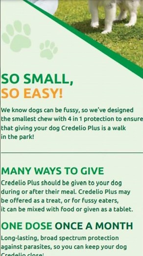 Credelio Plus 4 In 1 Treatment for Dogs | Fleas, Ticks, Worms and Heartworm Prevention | VetSupply