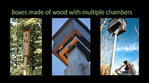 38 reactions · 12 shares | In this video Dr. Joy O'Keefe shares with us information about different bat species and the bat houses they prefer, how to choose the right bat house for your area, and how to build a bat house! Thank you to Indiana State University, the Center for Bat Research, Outreach, and Conservation, and Dr. O'Keefe for creating this awesome video for us! #BatWeek2020 | Mammoth Cave National Park | Facebook