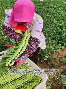 Great skills of people | Alexis mendes