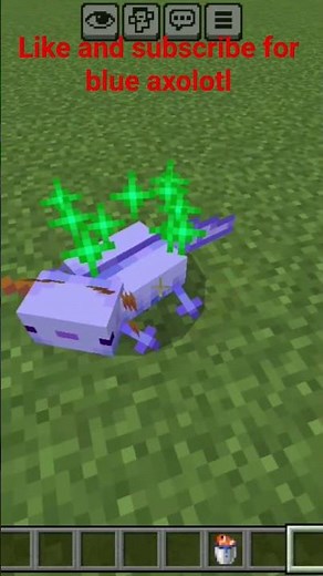 how to get blue axolotl in minecraft using commands #minecraft #cute #axolotl