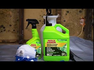 MOLD ARMOR Rapid Clean Remediation