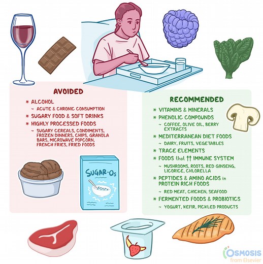 Antiviral Diet: What Is It, How Does It Support the Immune System | Osmosis