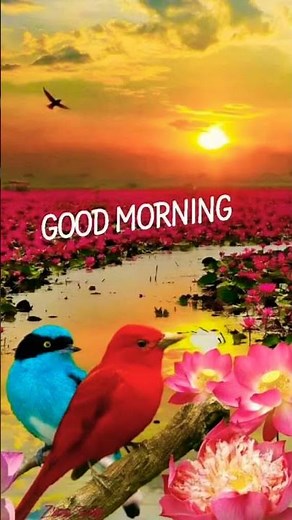 Good morning 🌞🌄 Beautiful good morning whatsapp#shorts​#status​#goodmorning​ #video​ #message​ 🌄🌞