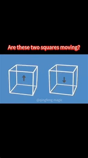 Are these two squares moving?