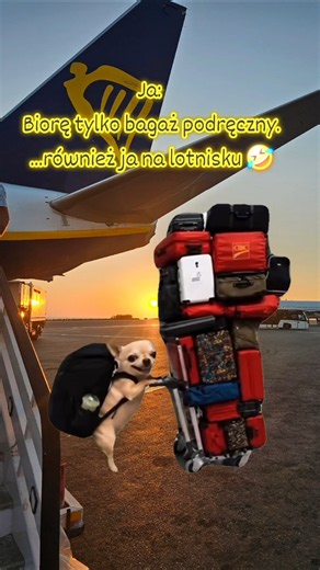 Też tak macie❓️ Oznaczajcie siebie i znajomych w komentarzach - będzie nam raźniej🤣 #podróże #travel