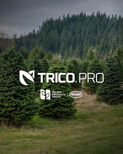 14 reactions | Don’t let the growing deer population damage your Christmas tree operation this winter. Trico Pro is a great tool for protecting Christmas trees and young forest stands that are highly vulnerable to deer browsing. Talk to your Helena rep to learn more. https://bit.ly/3EtBNiI #HelenaProducts | Helena Agri-Enterprises | Facebook