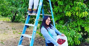 Top 8 U-Pick Farms in Stockton, California Area | Visit Stockton