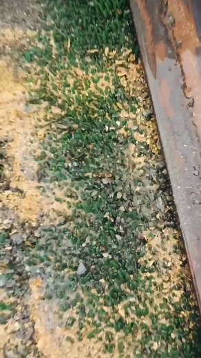 Vibrating screen for gold placer washing and gold collection. #GoldMiningVibratingScreen #GoldPanningEquipment #GoldMineralProcessingEquipment #VibratingScreen #GoldLinearVibratingScreen #SmallVibratingScreen #VibratingScreenEquipmentManufacturer #MineralProcessingEquipment #GoldMiningEquipment #TiomanIsland #RedangIsland #PerhentianIsland | Fang Dong