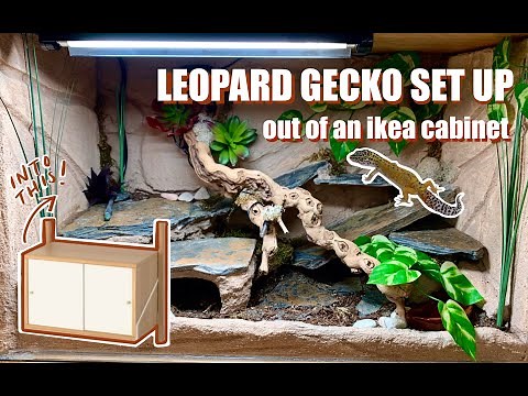Naturalistic Leopard Gecko Set Up from an Ikea Cabinet | DIY 20 Gallon Vivarium