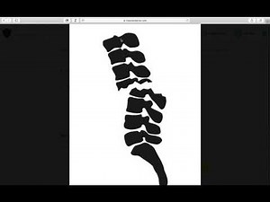 The EverLearner user instructions
