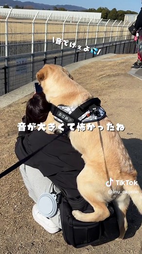 音でけぇよ💦
