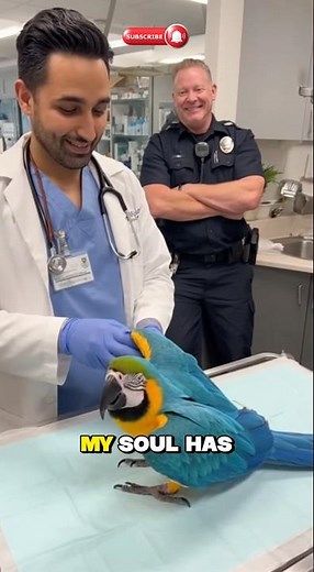 Vet Visit Gone Wrong — Parrot Roasts Everyone! 😳🦜