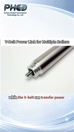 Stainless Motorized Roller with V-Belt Drive | Panhai