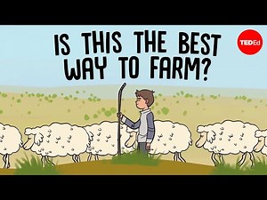 This is how nomadic farmers live - Videos For Kids