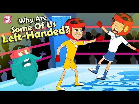 Why Are Some Of Us Left Handed? | Left Handedness | The Dr Binocs Show | Peekaboo Kidz