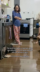 I posted this reel on my personal IG and TikTok and got an accumulated of 15 million views . Learning social media management is such a power skill. #Smm #socialmediamanager #cats #relatable | Joanna • Social Media Marketing Lead